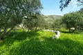 Land  Drapanos, Greece