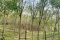 Atterrir  Choeng Thale, Thaïlande