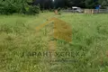 Земельные участки  Радваничский сельский Совет, Беларусь