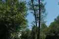 Dom 10 pokojów 550 m² Warszawa, Polska