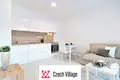 Wohnung 2 zimmer 21 m² Bezirk Brünn-Stadt, Tschechien