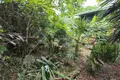 Mieszkanie  Honduras, Honduras