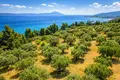 Land 9 312 m² Neos Marmaras, Greece