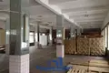 Warehouse 160 m² in Stankauski sielski Saviet, Belarus