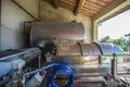 Commercial property 650 m² in Siena, Italy
