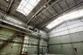 Warehouse 30 rooms 500 m² in Babruysk, Belarus
