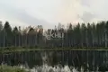Дом 30 м² Городецкий муниципальный округ, Россия