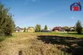 Дом  Смиловичи, Беларусь