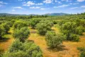 Land 9 312 m² Neos Marmaras, Greece