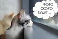 2 room apartment 52 m² Lyasny, Belarus