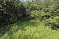 Haus 50 m² Dzitvianski sielski Saviet, Belarus