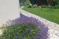 Дом 4 спальни 360 м² Обреновац, Сербия