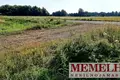 Działki  Zvelsenai, Litwa