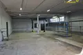 Nieruchomości komercyjne 3 pokoi 222 m² w Mińsk, Białoruś