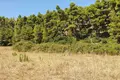 Land 1 room  Kassandra Municipality, Greece