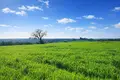 Działki 4 000 m² Kassandrino, Grecja