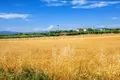 Parcelas 3 221 m² Kassandrino, Grecia
