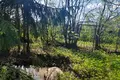 Land  Nikolskoe, Russia