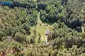 Casa 70 m² Jaskonys, Lituania