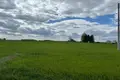 Appartement 5 382 m² Kruszki, Pologne