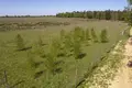 Land 1 405 m² Nieczajna, Poland