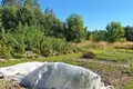 House 41 m² Ckalava, Belarus