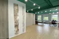Office 1 room 124 m² in Minsk, Belarus