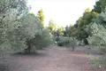 Atterrir 1 chambre 3 600 m² Nikiti, Grèce