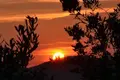 Villa 13 chambres 800 m² Grad Porec, Croatie
