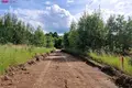 Atterrir  Darzininkai, Lituanie