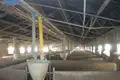 Warehouse 3 538 m² in Aradippou, Cyprus