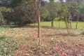 Земельные участки  Сьюдад-дель-Эсте, Парагвай