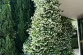 Квартира 3 комнаты  Будва, Черногория