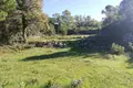 Land  Zagora, Montenegro