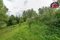 Dom wolnostojący 158 m² Aliachnovicki sielski Saviet, Białoruś