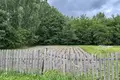 Atterrir  Pliski sielski Saviet, Bélarus