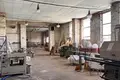 Fertiges Geschäft 700 m² Krupki, Belarus