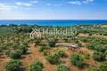 Parcelas 5 035 m² Nikiti, Grecia