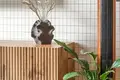 Квартира 2 комнаты 47 м² Вильнюс, Литва