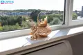 1 room apartment 17 m² Vilnius, Lithuania