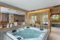 Chalet 6 Schlafzimmer  in Les Allues, Frankreich