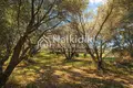 Parcelas 4 054 m² Agios Mamas, Grecia