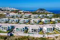 Willa Four bedroom villas + two bedroom apartment on the beach.