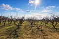 Atterrir 5 400 m² Nea Triglia, Grèce