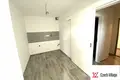 Apartamento 2 habitaciones 30 m² Praga, Chequia