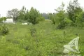 Działki  Cerninski sielski Saviet, Białoruś