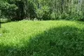 Land  Aliachnovicki sielski Saviet, Belarus