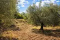 Atterrir 16 728 m² Neos Marmaras, Grèce