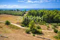 Atterrir 15 700 m² Siviri, Grèce