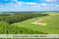 Land  Naujasis Tarpupis, Lithuania